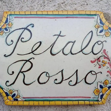 La Rosa Rossa שאקה